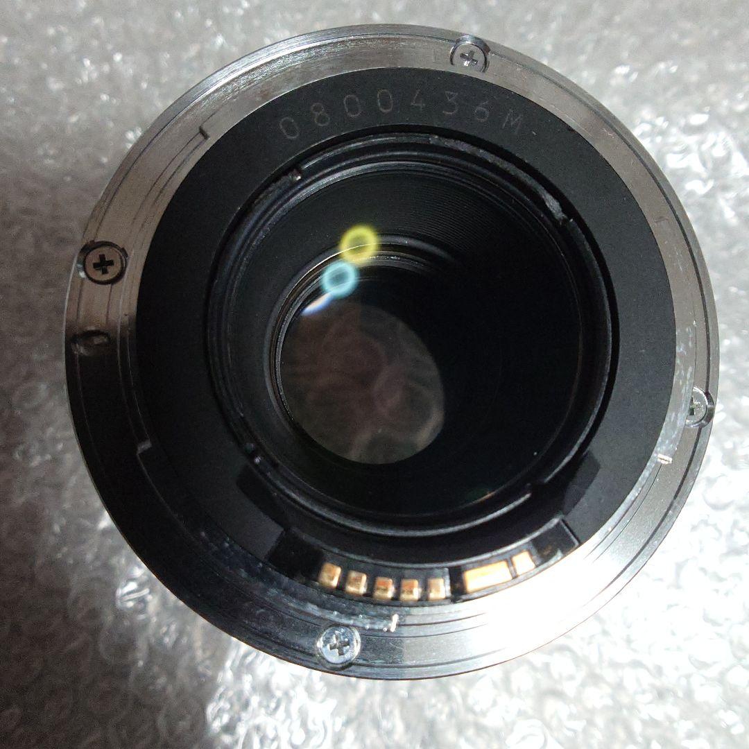 レンズ(単焦点) Canon EF 100mm f2.8 Macro