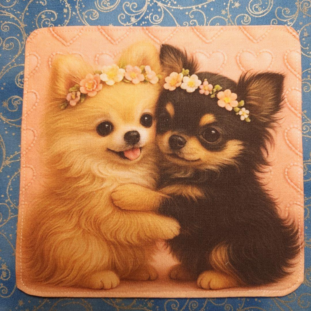 マーブル☆　ハンカチ　ワンにゃん柄　21枚