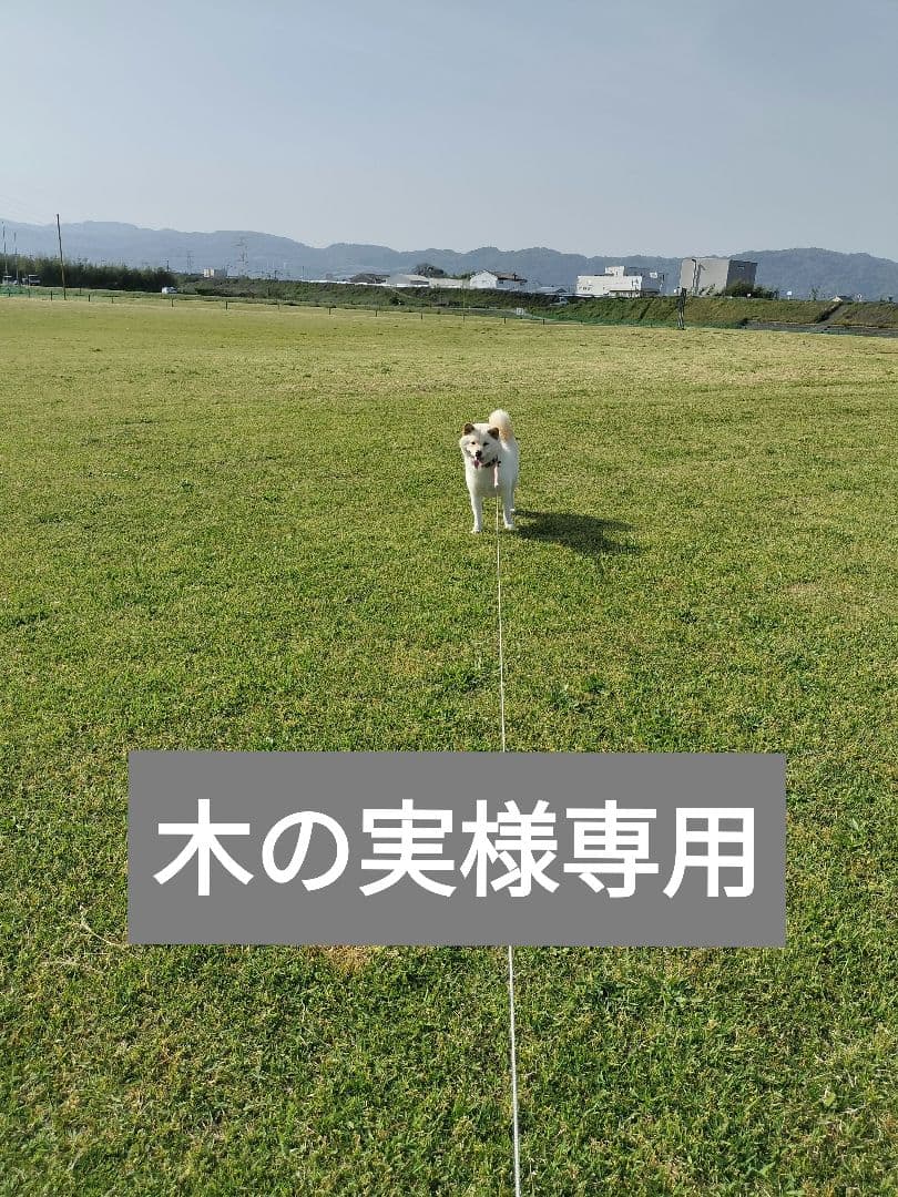 木の実　てんたかく