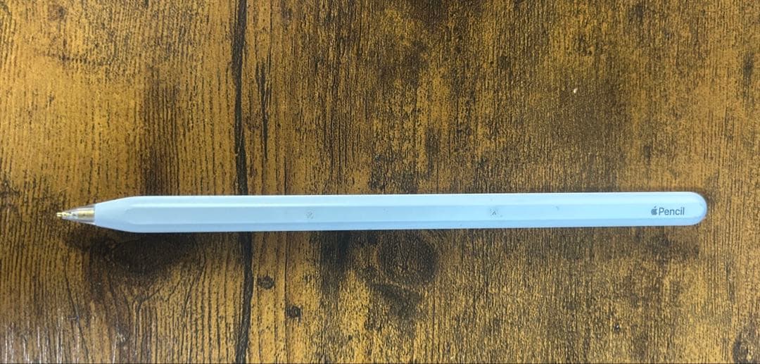 iPad Pro 11インチ 第1世代 256GB　Apple Pencilつき