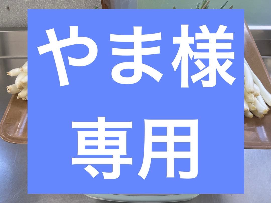 やま　3キロ　島らっきょう