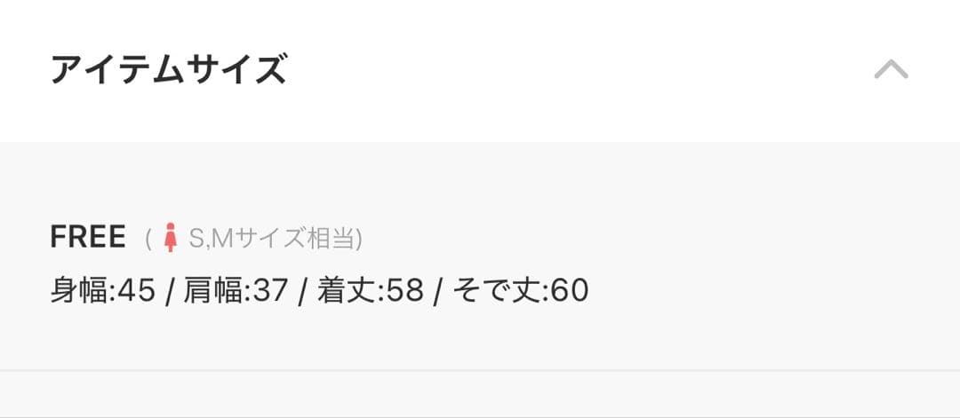 新品　COLLAGE GALLARDAGALANTE　シアーラメリブカットソー