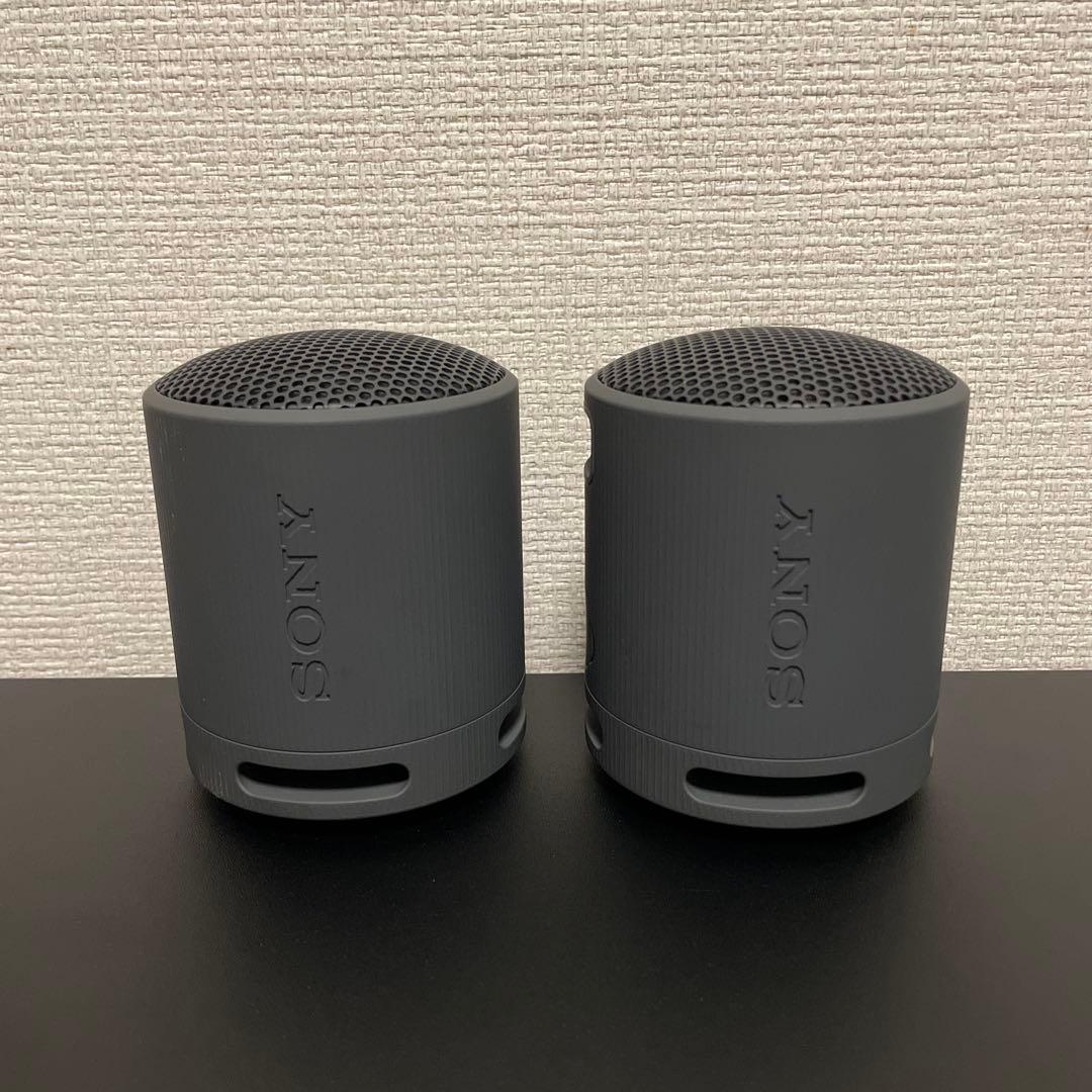 【バラ売り⭕️】SONY SRS-XB100 2台セット
