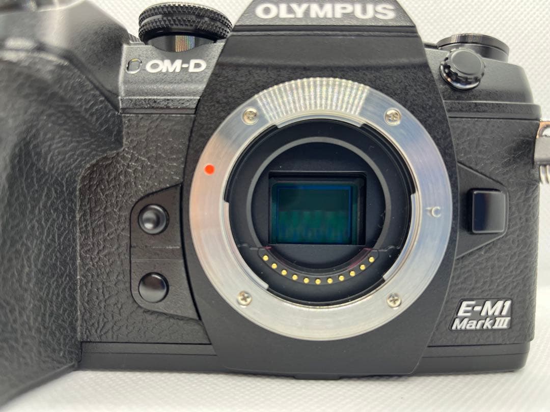 ショット8320回OLYMPUSOM-DE-M1 Mark IIIバッテリー2個
