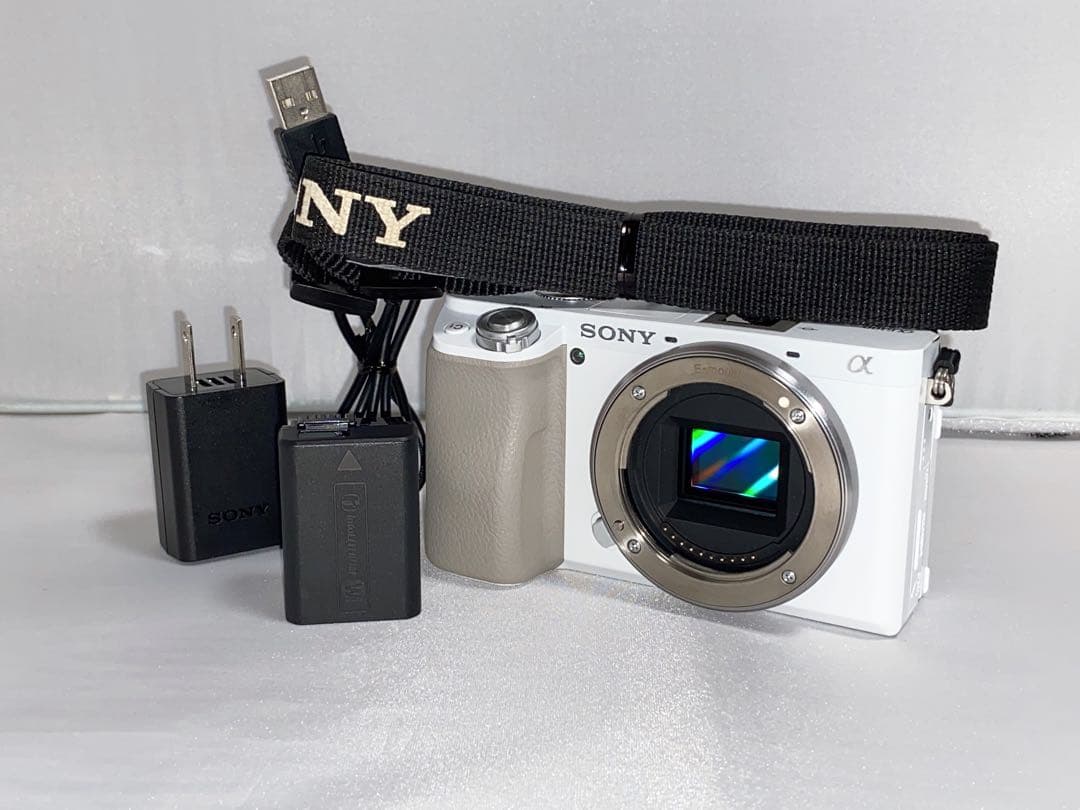 【美品‼︎】SONY α6100 ilce-a6100 ボディ 本体
