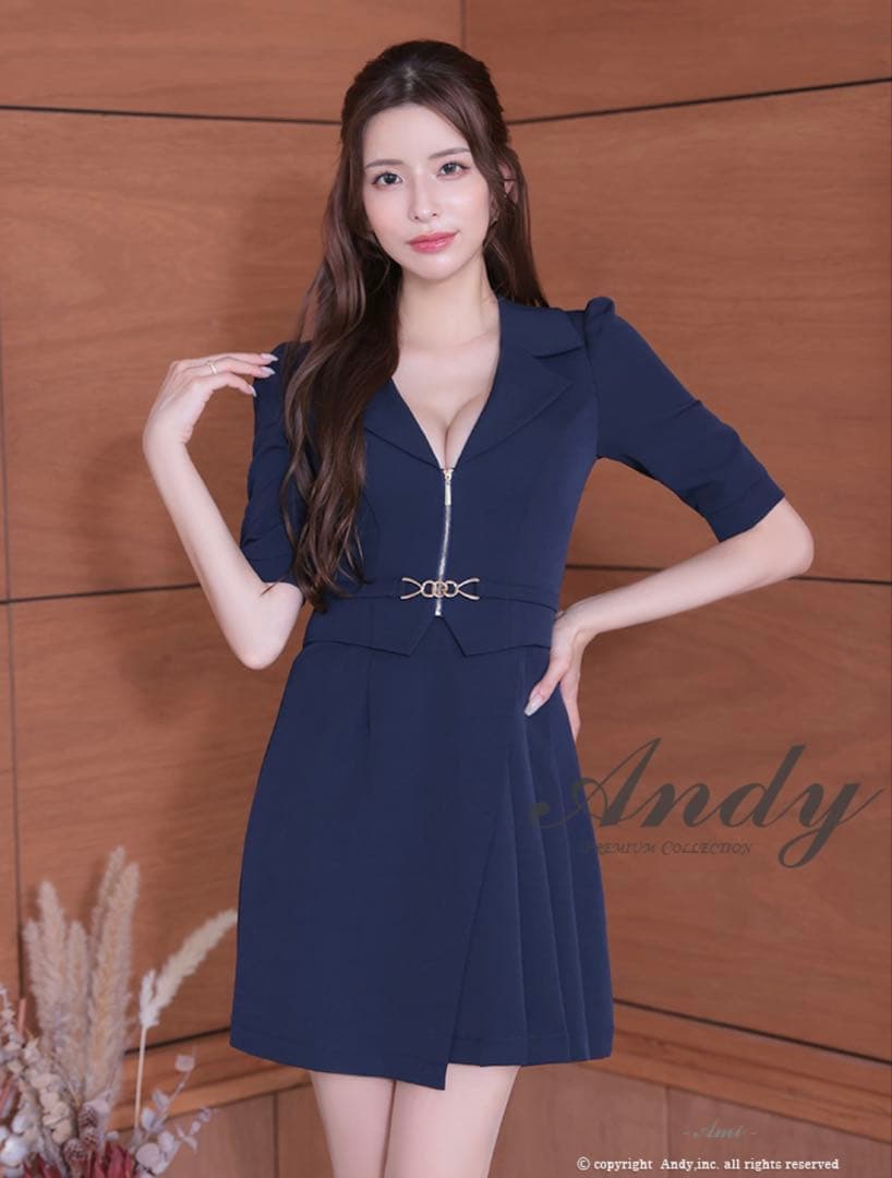 ※断捨離のためお値下げ Andy ネイビー Vネック 半袖ドレス　美品
