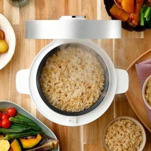 発芽玄米炊飯器 HATSUGA LABO 発芽玄米炊飯器 ELM-10