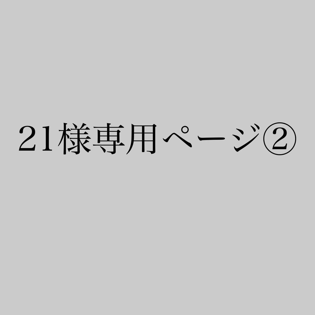 21ページ②