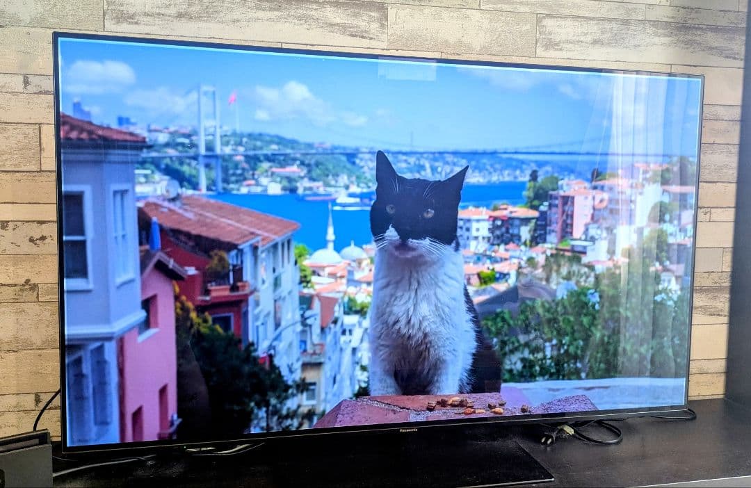 55型 Panasonic Viera(ビエラ)