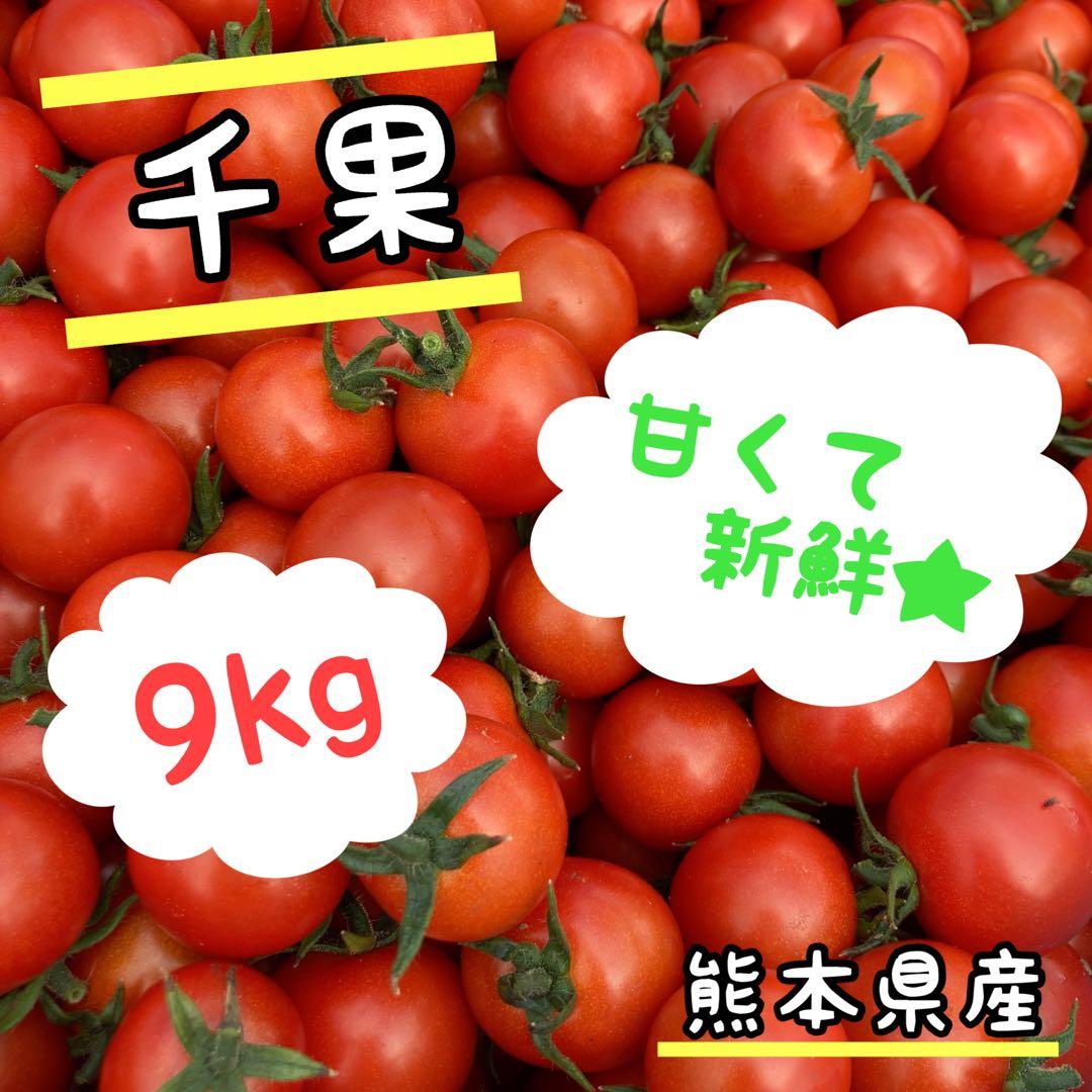 ミニトマト　9kg 千果