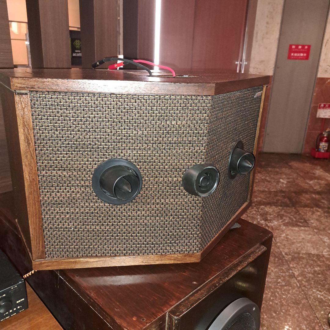 スピーカー・ウーファー BOSE901 Series IV Direct/Reflecting