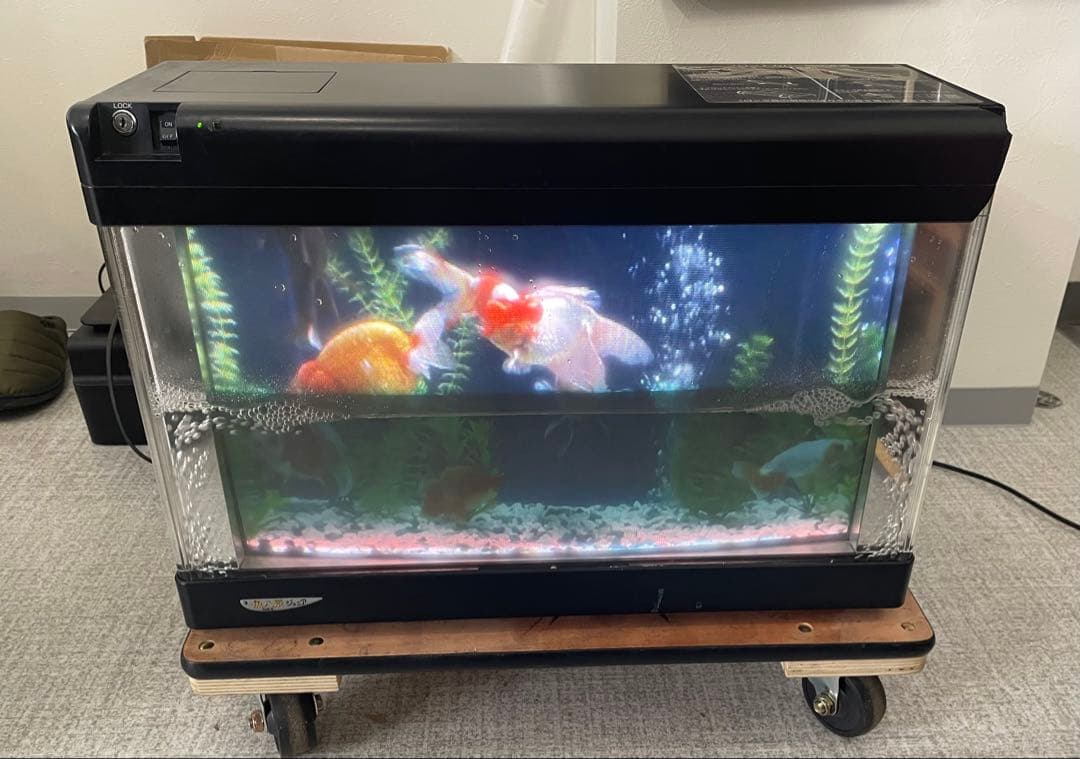 NEC SJ1010-00 魚八景 ジュニア バーチャル水槽 さかなはっけい