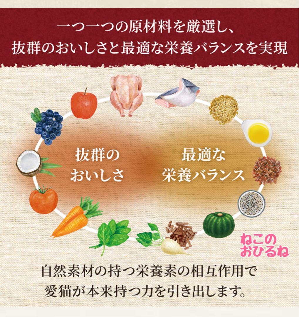 ニュートロシュプレモ　子猫用　（チキン&サーモン）　3kgパック×3袋