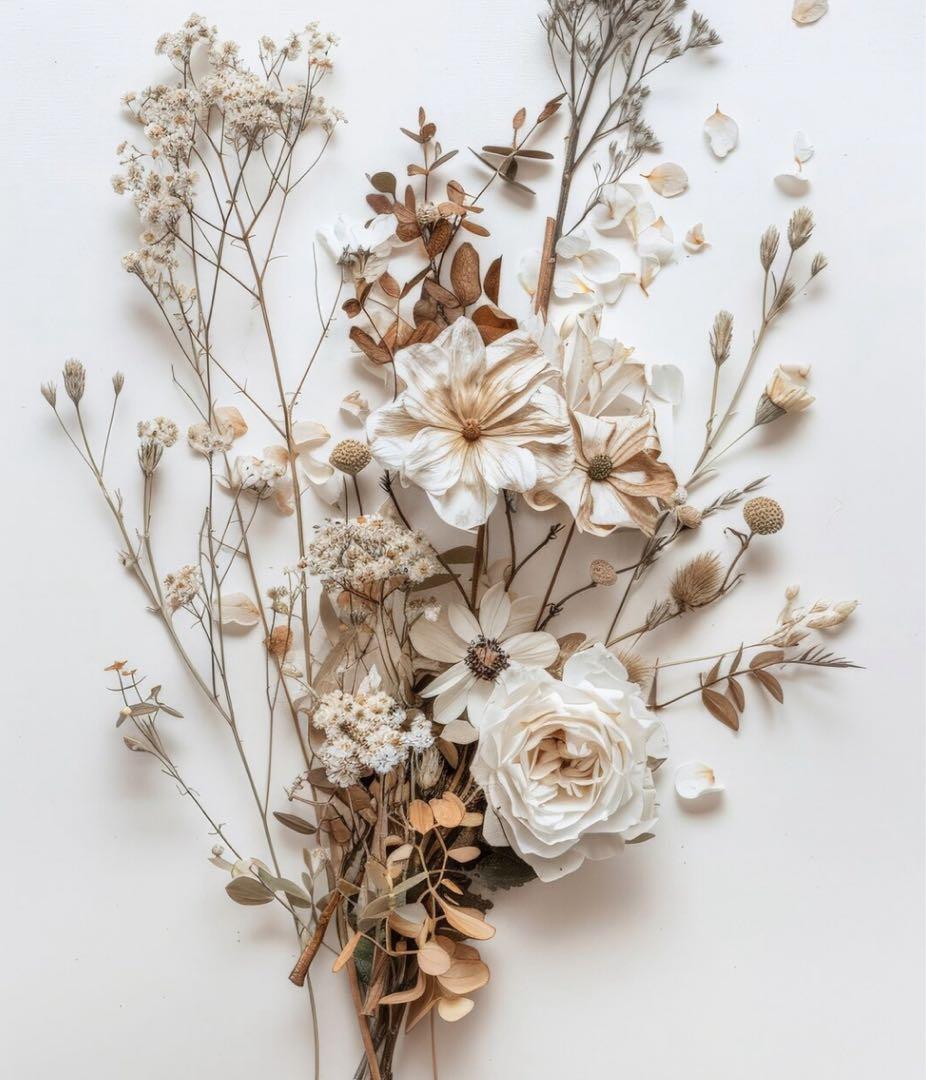 nalu closet❁⃘*.゜