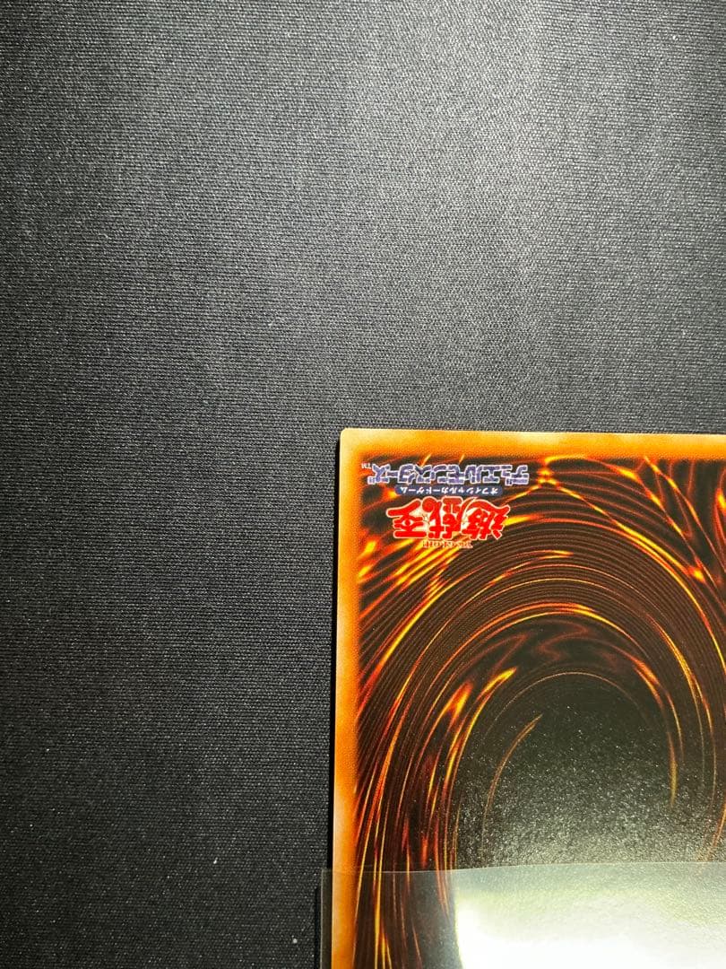 【確認用】　ライオンの儀式