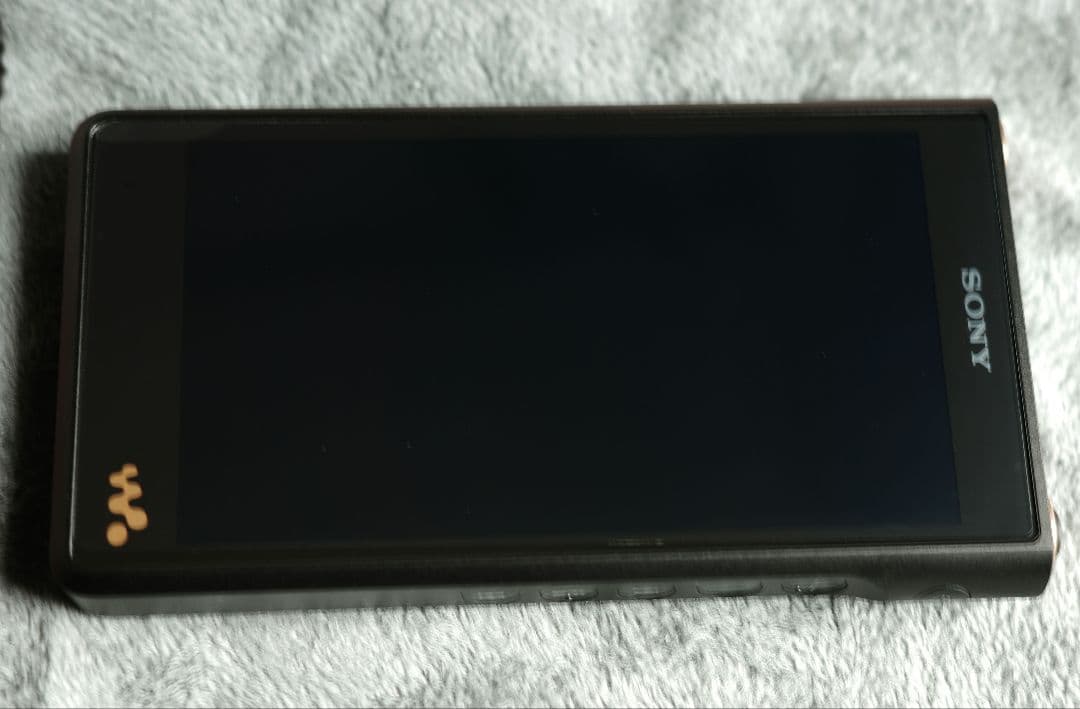 ソニー(SONY) ウォークマン 128GB WM1シリーズ NW-WM1AM2