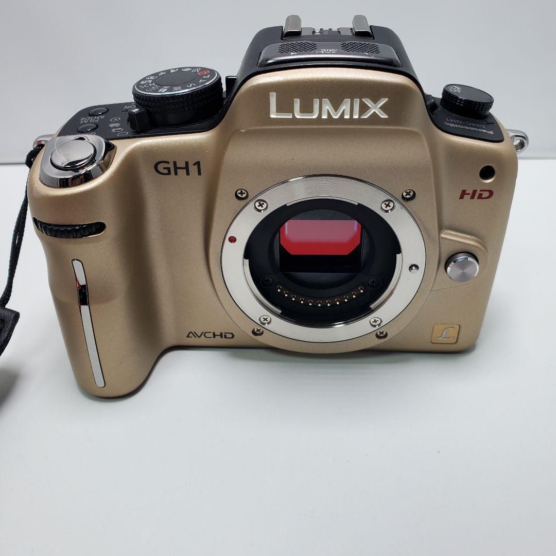 パナソニック　LUMIX　GH1　カメラ まとめ売り