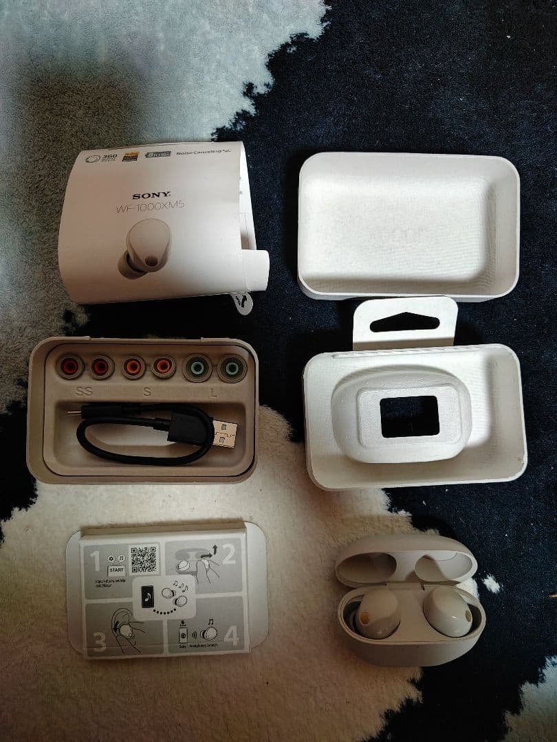 イヤホン sony wf-1000xm5