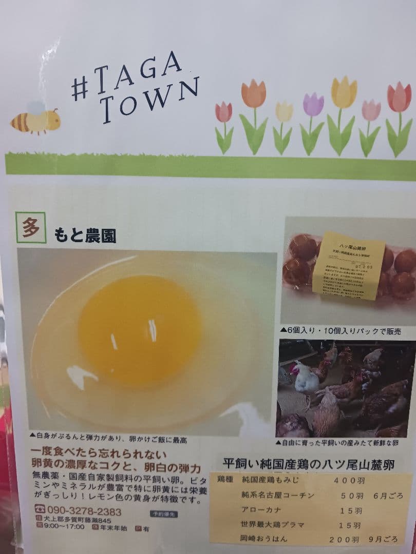 食用名古屋コーチンの平飼い卵 48個入り割れ保証6個含む