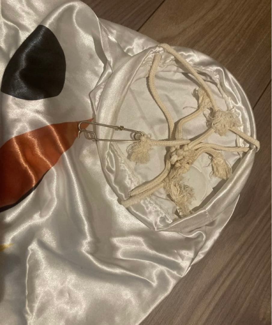 岡本太郎 鯉のぼり ベランダサイズ ◆ こどもの日 5月 【送料無料】