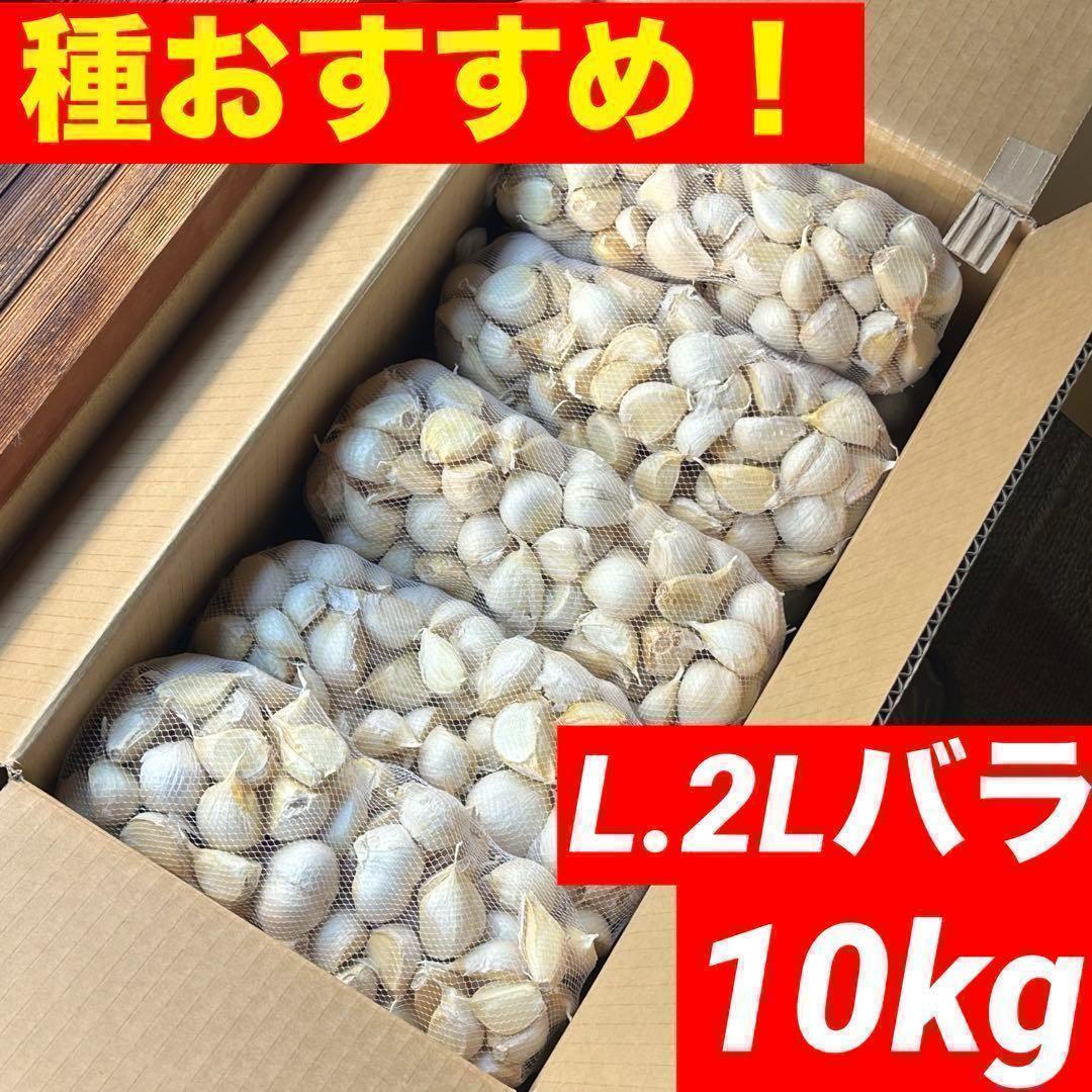 【大特価】新物 青森県産 にんにく L.2Lバラ 10kg 福地ホワイト 加工