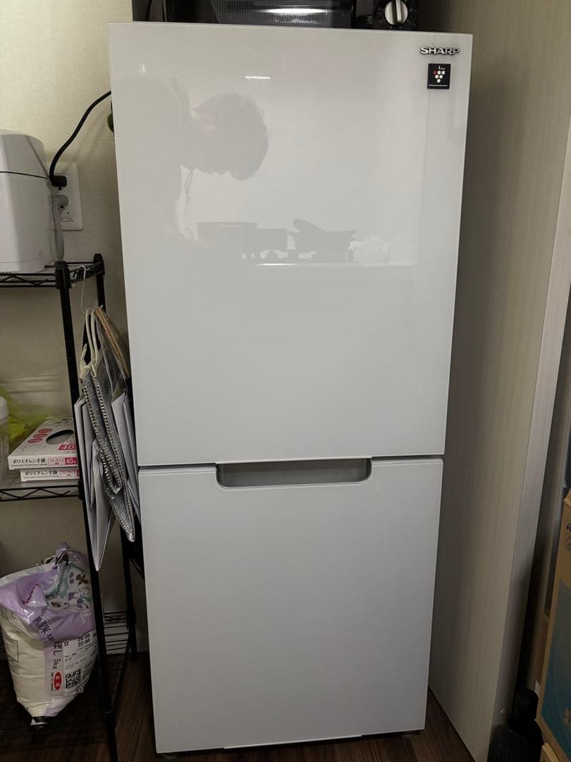 2022製SHARP 152L冷蔵庫 SJ-GD15H-W 両開き