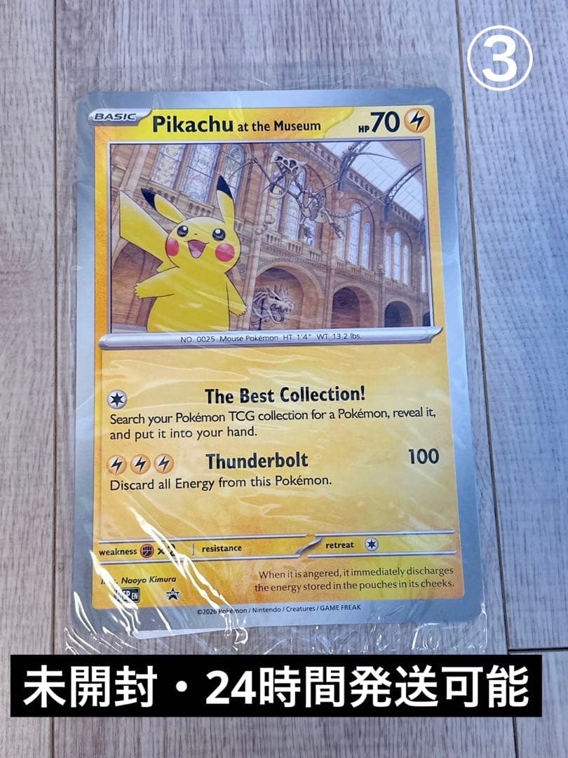 ピカチュウ Pikachu at the Museum プロモ promo③