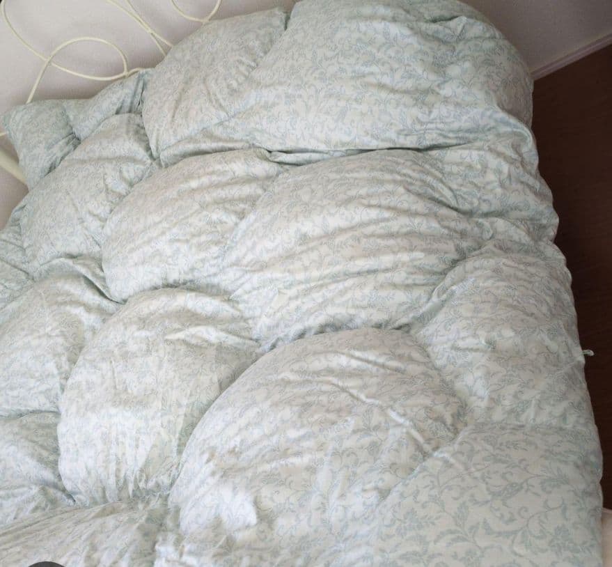 期間限定　格安出品　西川羽毛布団　ブルー