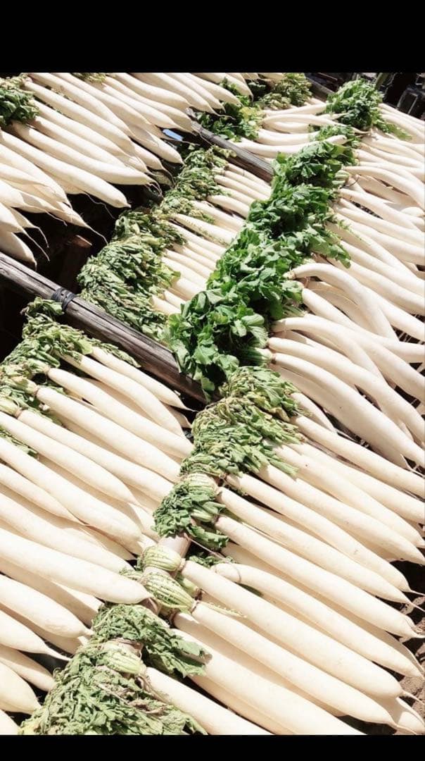 干し大根　　14キロ