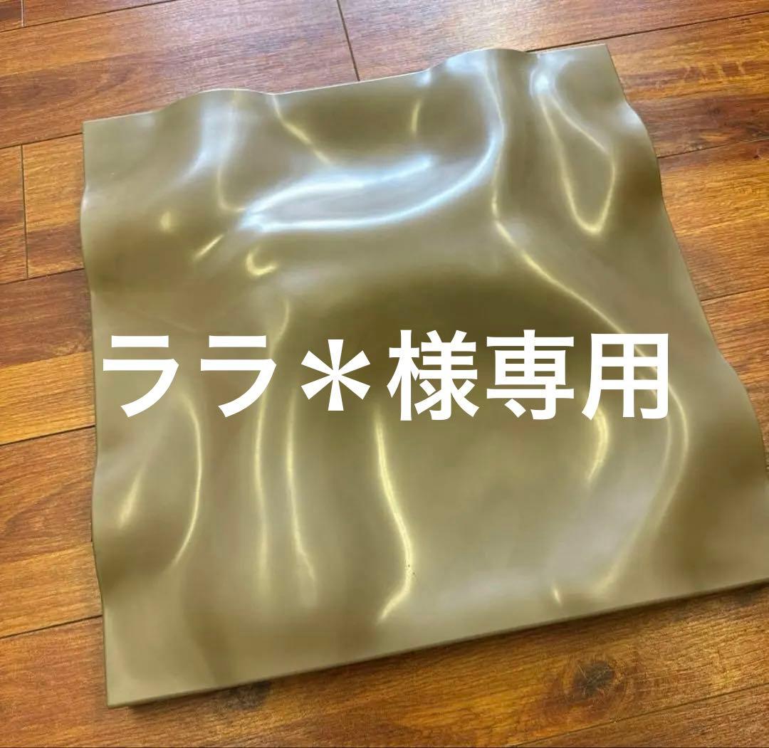 美品　テラセンサ　TERRASENSA トレーニング　4枚セット