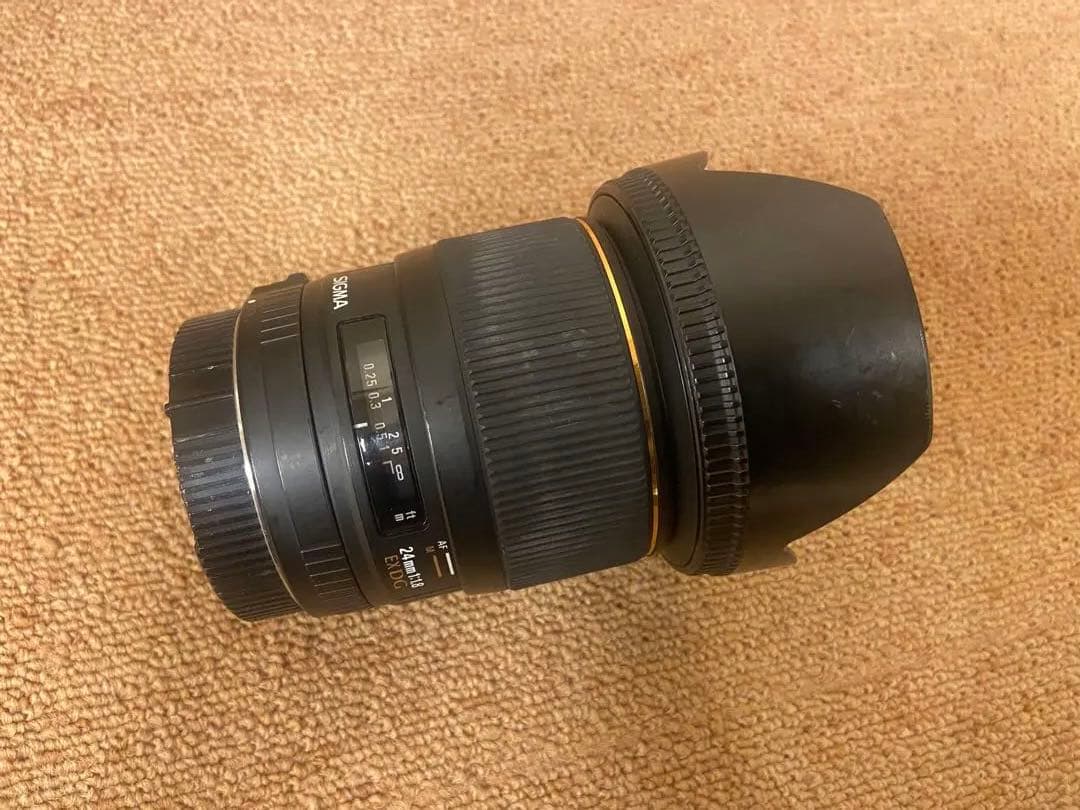 SIGMA 単焦点レンズ 24mm フード付きEXDG F1.8