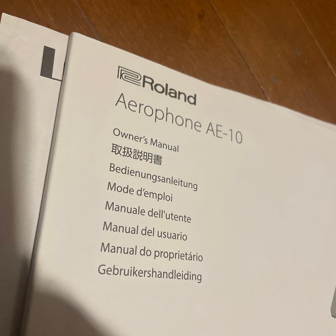 BOSE DS 16F Loudspeaker 天井スピーカー