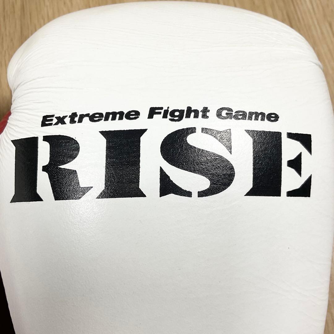 【状態良好】RISE公式 WINDY製 ボクシンググローブ 14oz. BGVH
