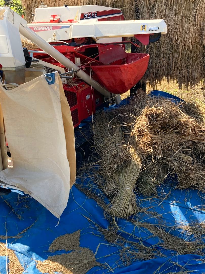 新潟県産天日干しコシヒカリ