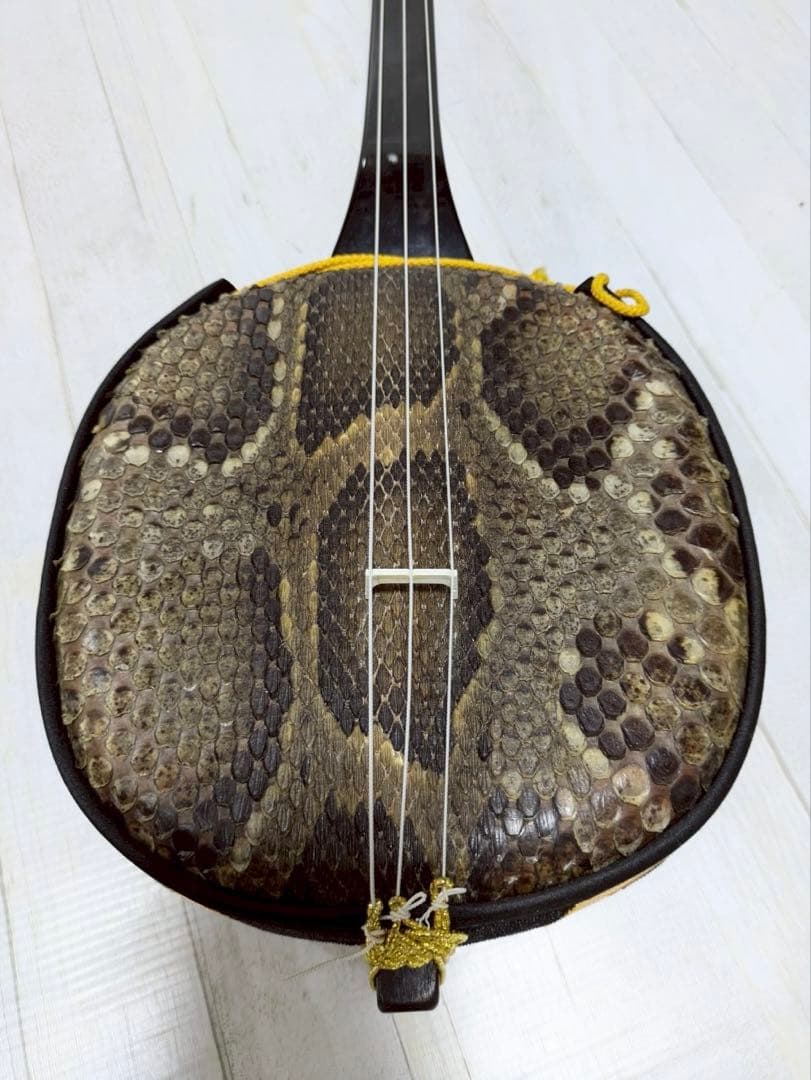 三線　胴 蛇皮（裏側破れ）【ケース付き】 訳あり