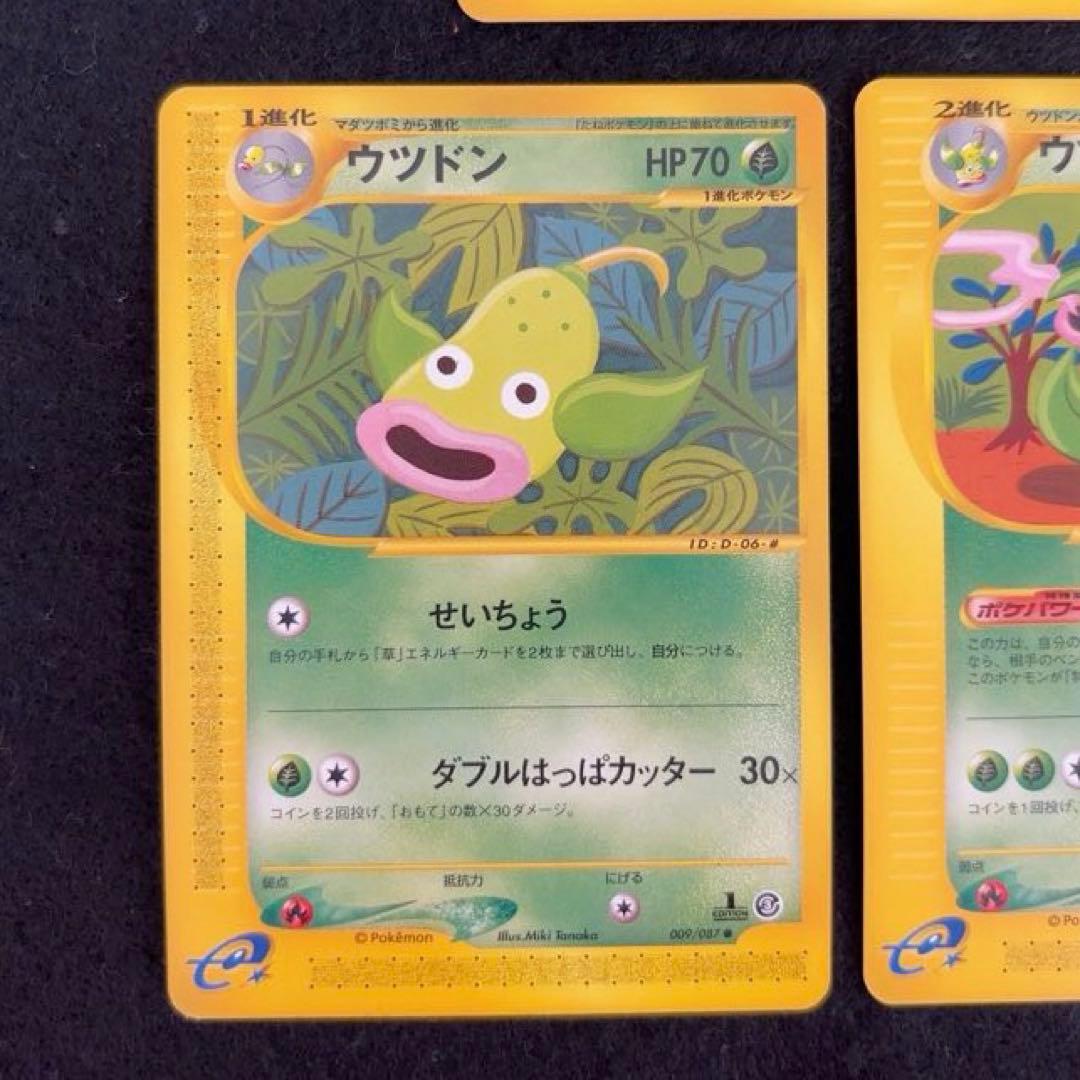 R*様 #ゆんの気まぐれオークション　（竹）　5枚　　マダツボミ　ウツドン　ウツ