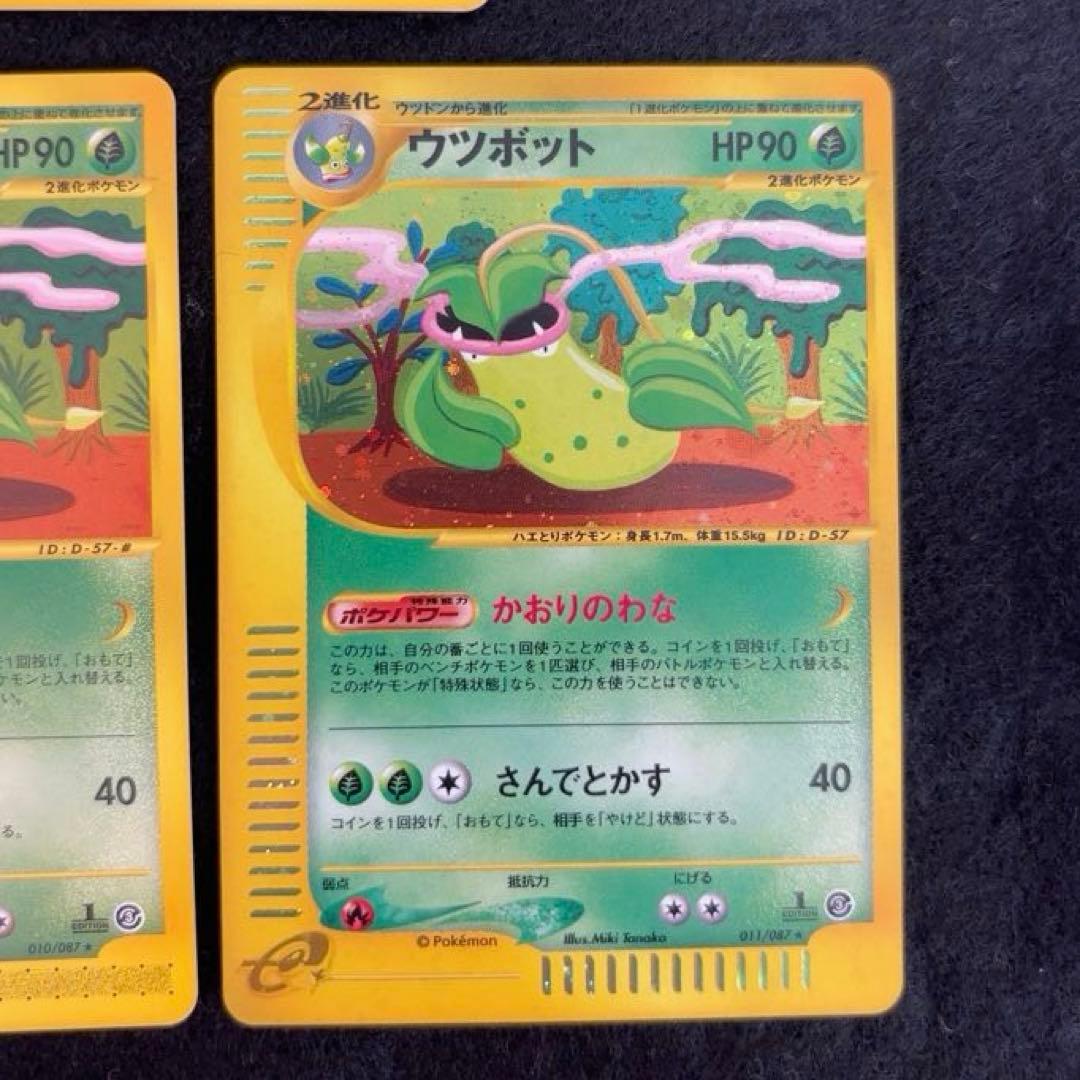 R*様 #ゆんの気まぐれオークション　（竹）　5枚　　マダツボミ　ウツドン　ウツ