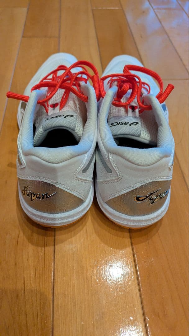 バレーボールシューズ ローテジャパンライト 限定カラー 25.0cm