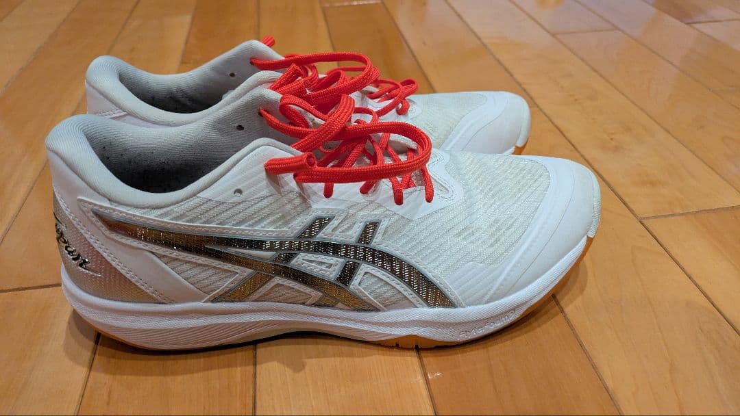 バレーボールシューズ ローテジャパンライト 限定カラー 25.0cm