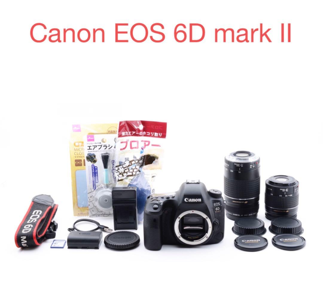 保証付きCanon EOS 6D Mark II 標準&望遠ダブルレンズセット