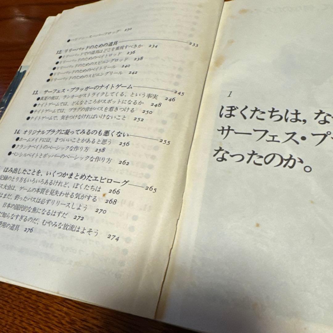 ブラックバス釣りの楽しみ方　則弘祐