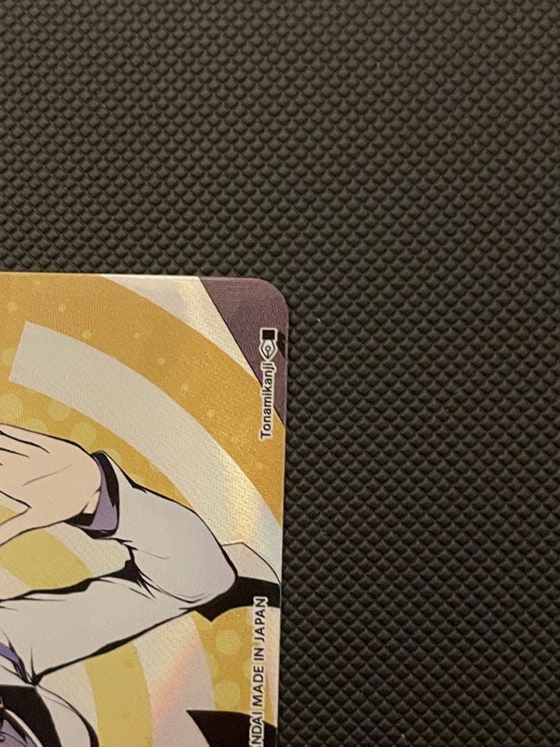 プ*チ様 デジモン sp ヒロコ