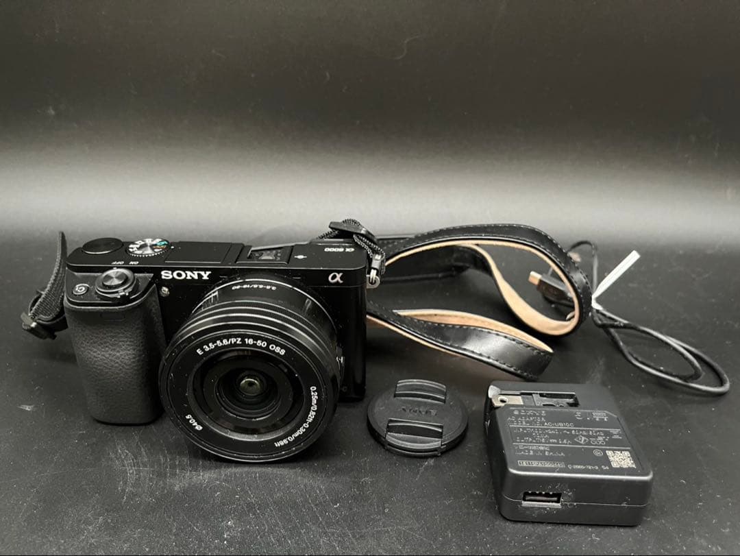 ◇Sony APS-C デジタルカメラ