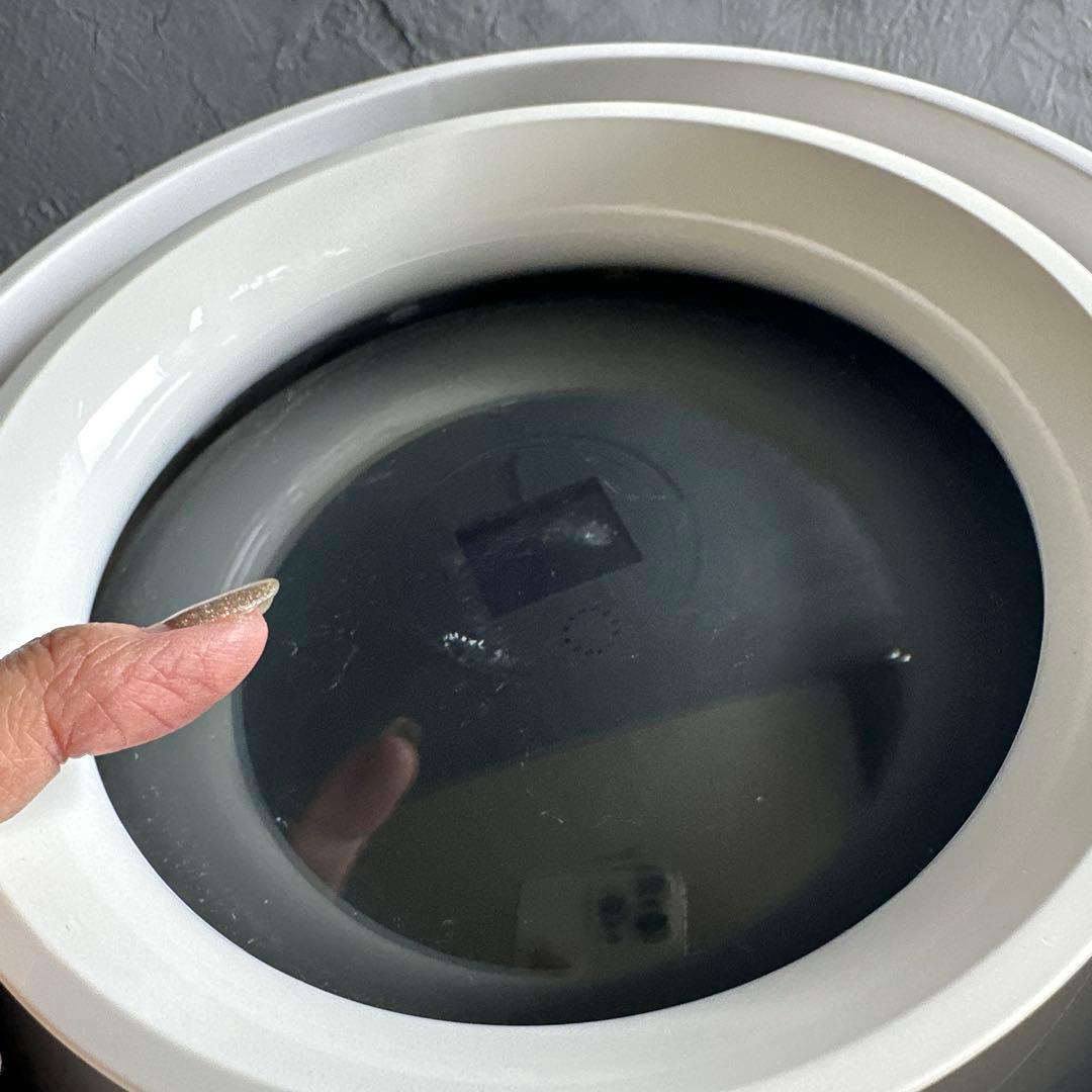 BALMUDA Rain バルミューダ レイン 中古