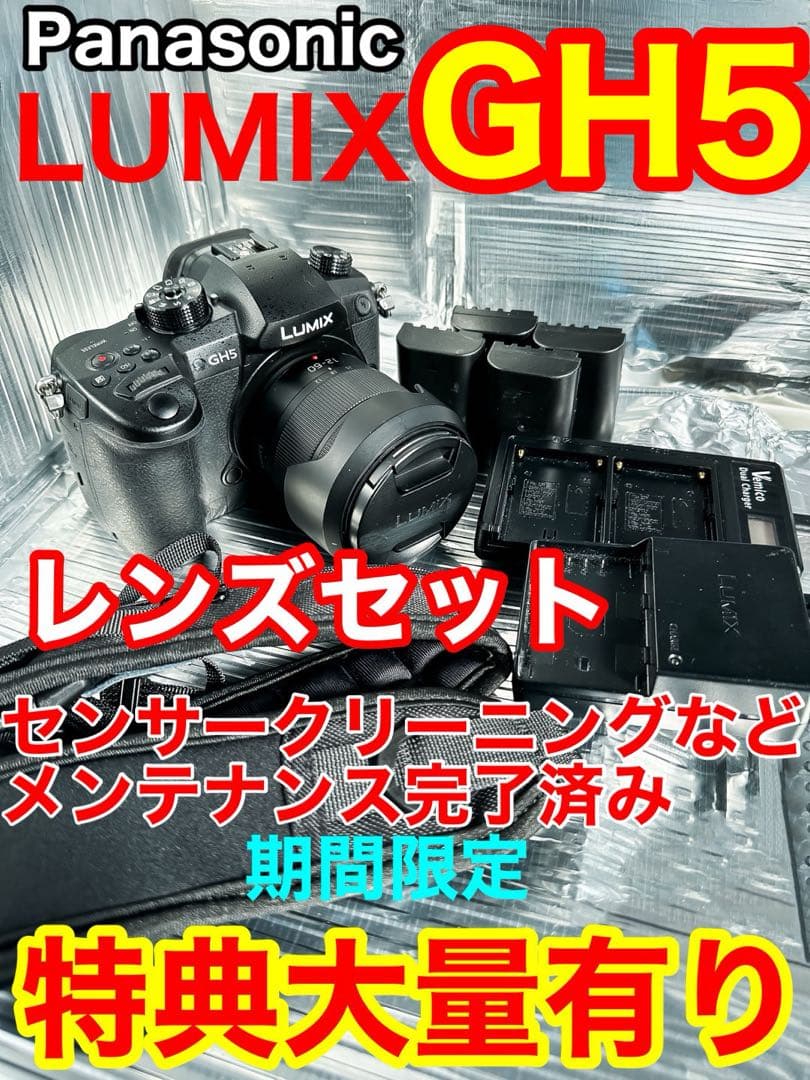 ミラーレス【特典大量有り】レンズセット〈クリーニング済〉一眼レフ パナ GH5