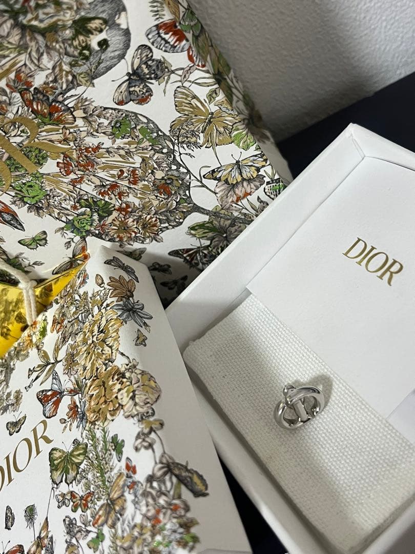 Dior ピアス　E1594 CDNMHT-D000