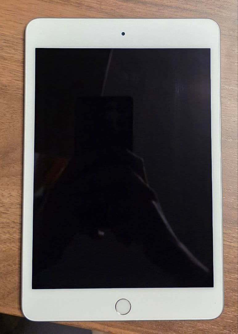 Apple iPad mini (第５世代) Wi-Fi 256GB シルバー