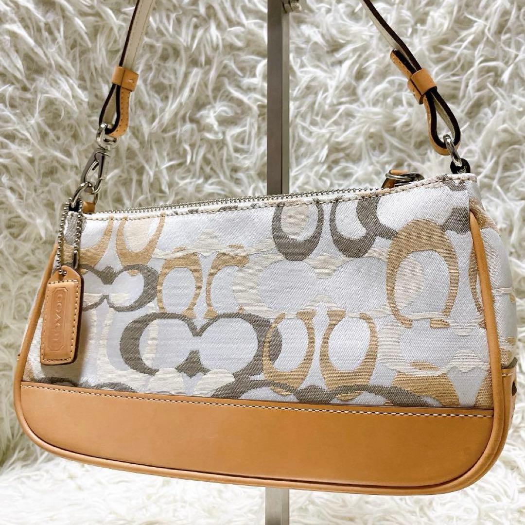 美品 COACH アクセサリーポーチ ハンドバッグ シグネチャー ハンドバッグ