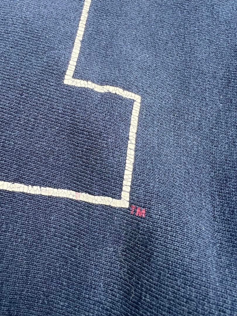 【USA製】90s Champion リバースウィーブ 両面プリントIVY