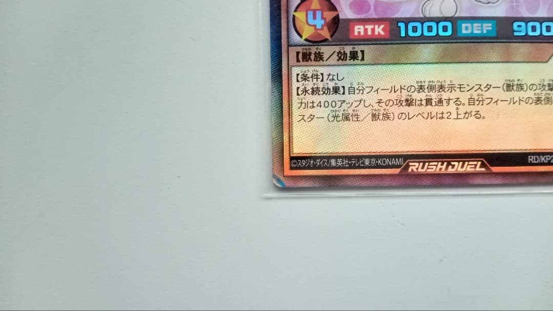 遊戯王 スーパーウォーライオン アニマジカ デッキパーツ 67枚